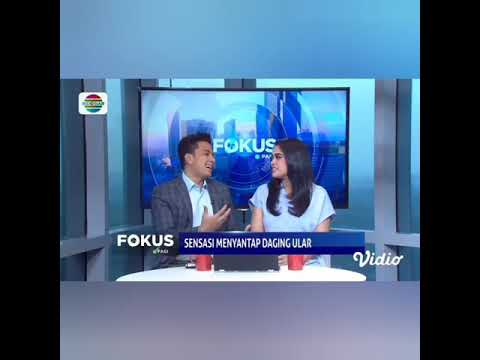 Manusia makan Ular python raksasa/piton yang - YouTube