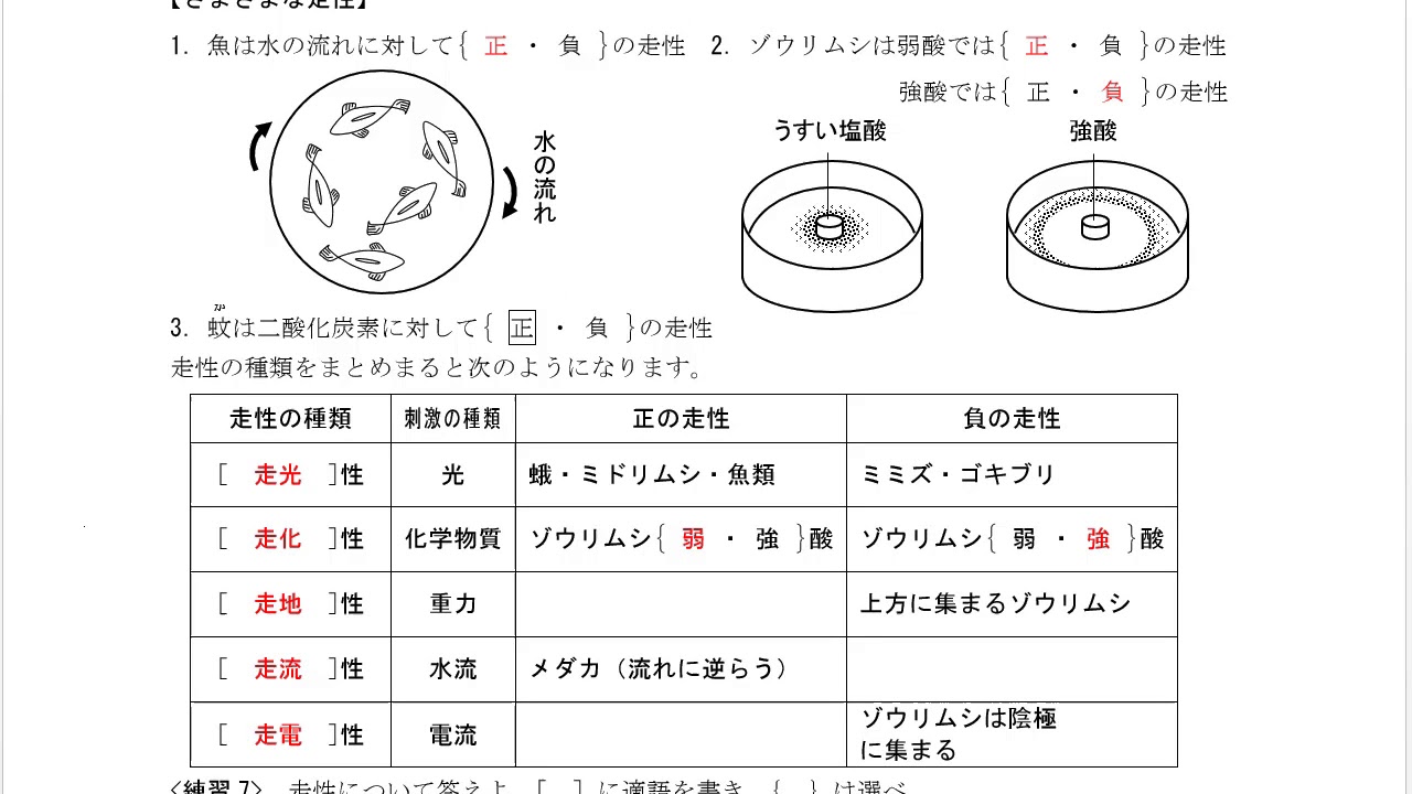科学と人間生活 2 7 走性 概日リズム Youtube 
