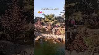 Islamabad B17 Zoo
