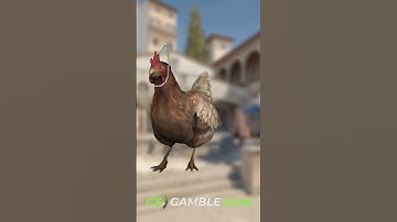 Did You Know These Fun CS2 Facts?