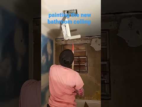 What Is The Average Cost To Paint A Bathroom Ceiling?