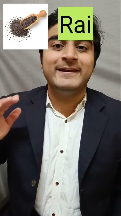 What Is RAI Called In English english shorts YouTube what-is-rai-called-in-english-english-shorts-youtube