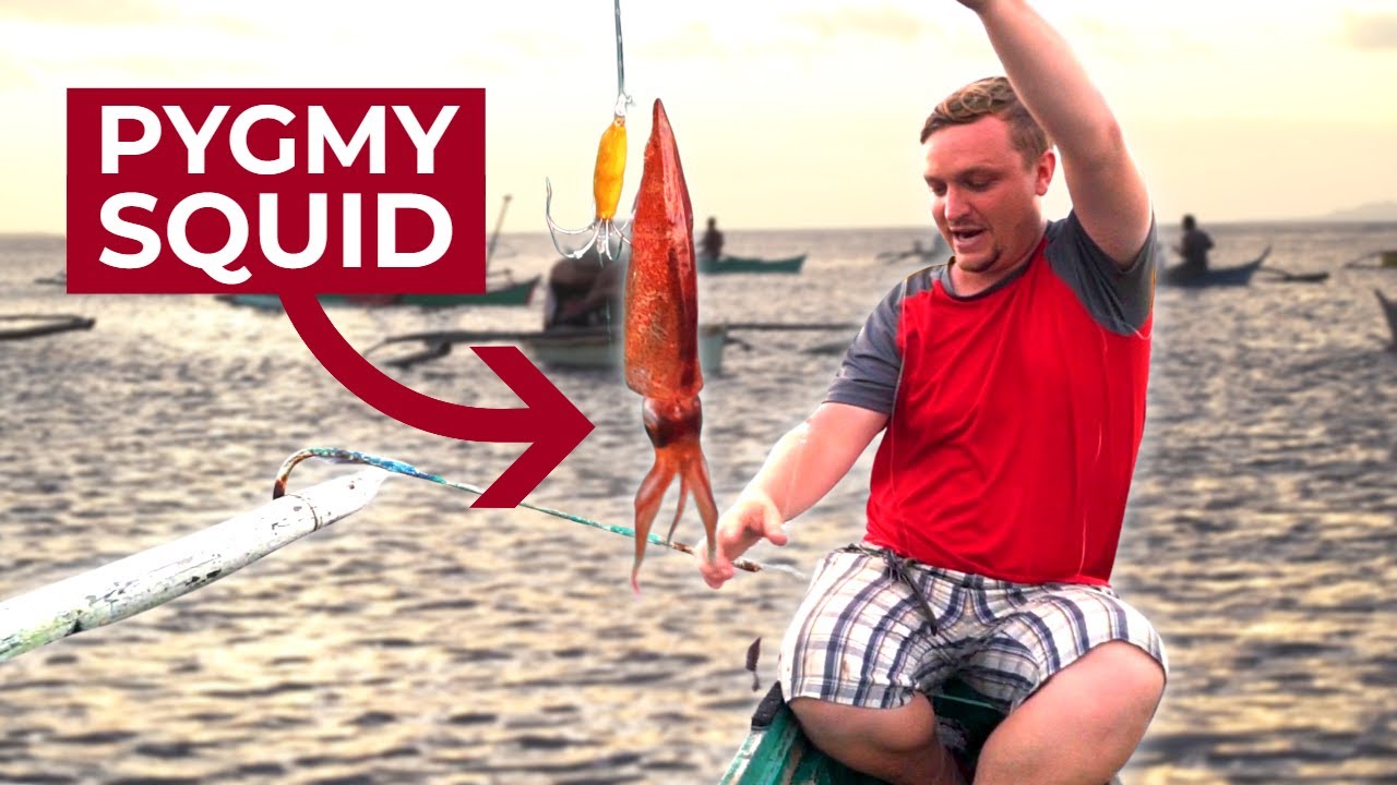 Philippines SQUID FISHING! Southern Leyte's Whale Shark Capital PINTUYAN