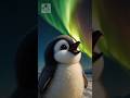 かわいいペンギンの赤ちゃん #shorts #かわいい #animal #baby #penguin #cute #adorable #pets #love