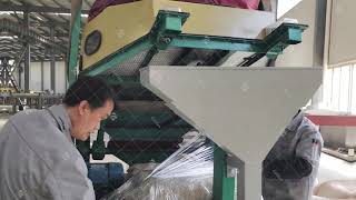 Peanut Sieving Machine Sx1200-5 Peanut Grader Peanut Destoner for Shipping Peanut Cleaning Plant