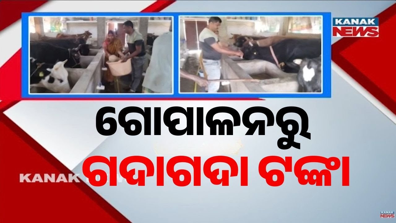 Bazaar Halchaal: From Small Farmer to Lakhpati: How Mrunmay Jena Transformed Dairy Farming in Odisha