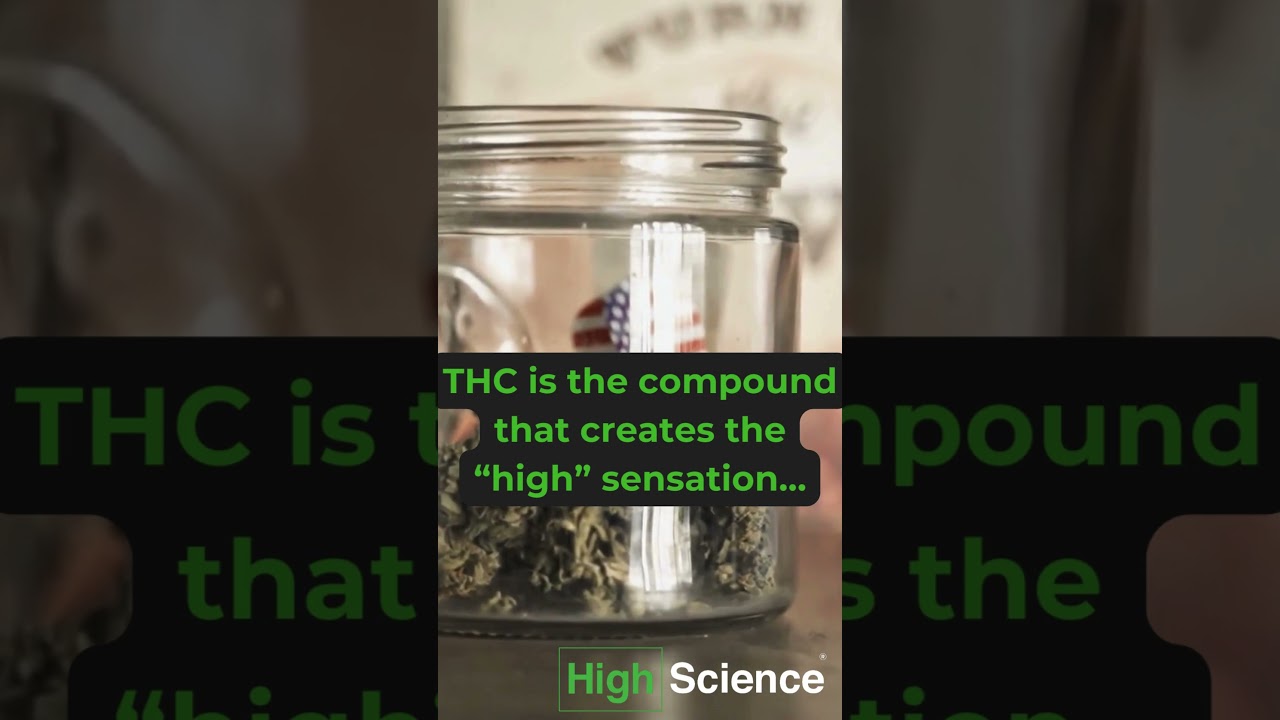 High Science® | THC vs CBD: We Never Saw These Facts Coming! We Were Shocked!