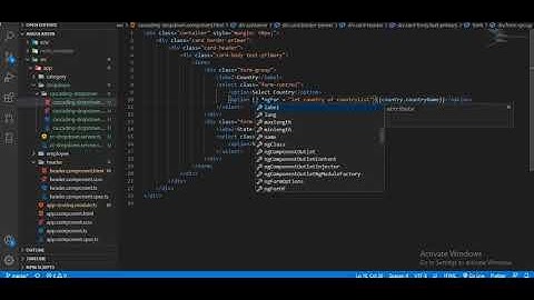 Part-12 | cascading drop down in angular 9
