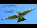 To The Skylark By William Wordsworth A Classic Poem For Bird Lovers To The Skylark By William Wordsworth A Classic Poem For Bird Lovers