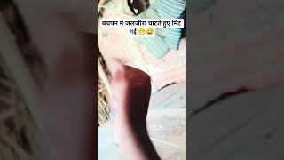 #funny #comedy #trendingshorts