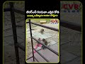 బీఆర్ఎస్ కండువా ఎత్తిన కోతి..అంజన్న ఆశీర్వాదం అంటూ పోస్టులు | Monkey Viral Video | BRS Party
