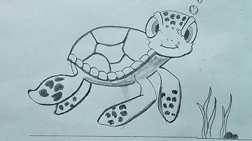 How to draw turtle or tortoise easy step by step