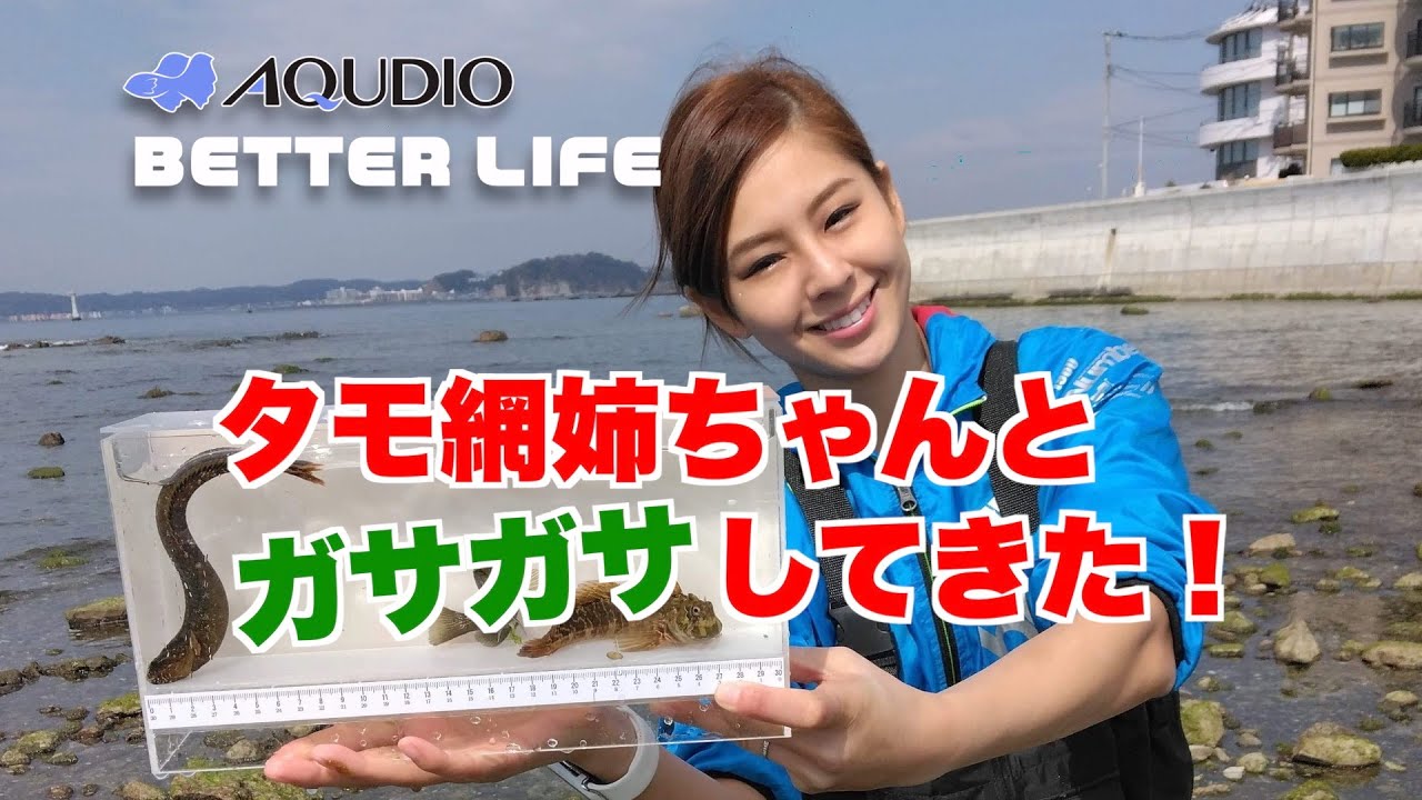 305 タモ網姉ちゃんとガサガサ Youtube