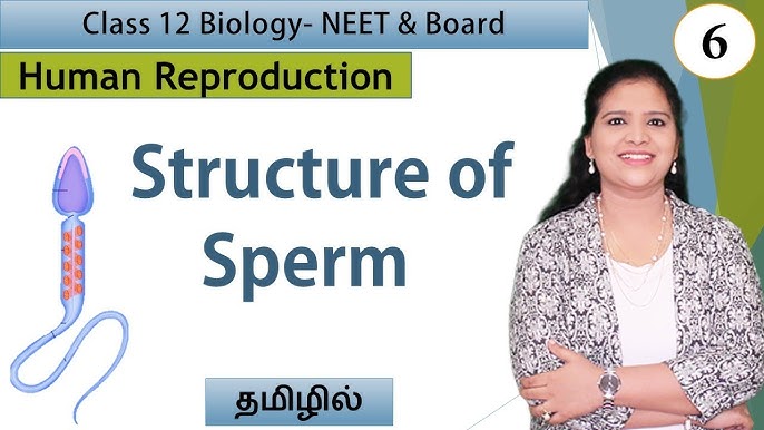 Fransuz yaqinlik filmi Er xotin onanizm