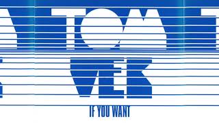 Tom Vek - If You Want (Playgroup Dub) 2005