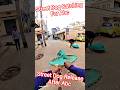Street Dog Release After Abc #dog #release #streetdogrevival #pets #ytviral #shorts #animals #dogs