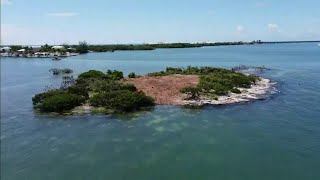 City officials go after private island owners over destruction of nature