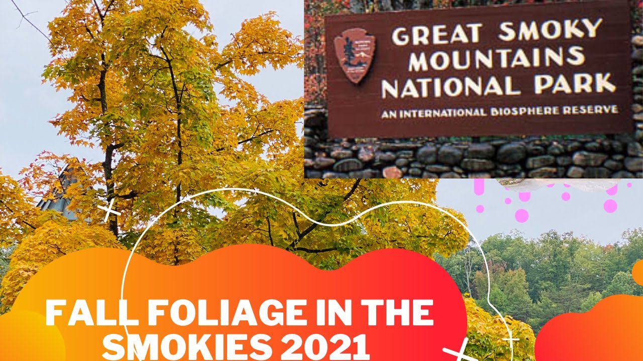 Fall Foliage in the Smokies