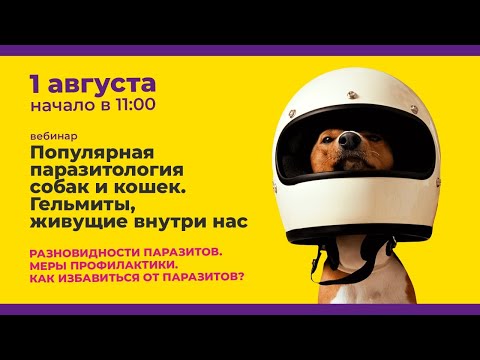 Популярная паразитология собак и кошек. Гельмиты, живущие внутри нас.