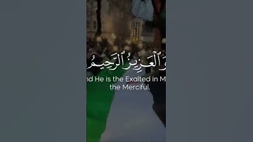 ما تيسر من سورة الروم
