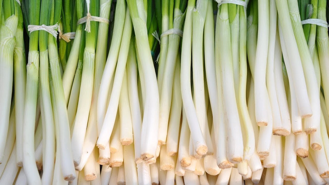 How Can You Tell If Green Onions Are Bad