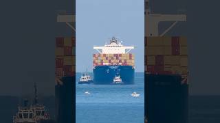 MSC Dubai VII #cadiz #cadizport #ship #containership #cadizbay #msc #msccargo