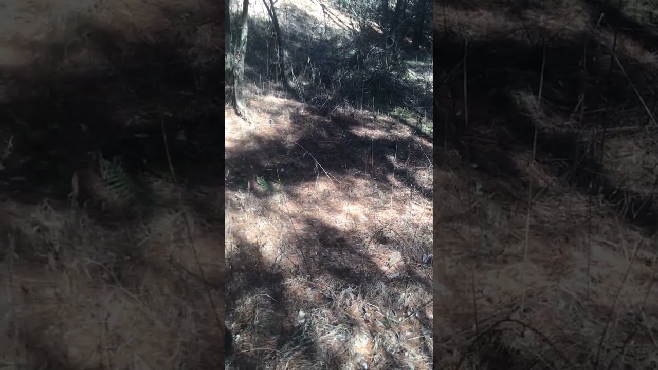 58.109 Acres for Sale in Russell County Virginia!