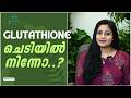 GLUTATHIONEന്റെ ഗുണങ്ങളുള്ള ഈ ഇല കഴിച്ചോളൂ The Most Powerful Medicine Plant That Cures Many Diseases
