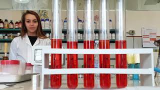 IIS G  DE GRUTTOLA ARIANO IRPINO Indirizzo Chimica, materiali e biotecnologie