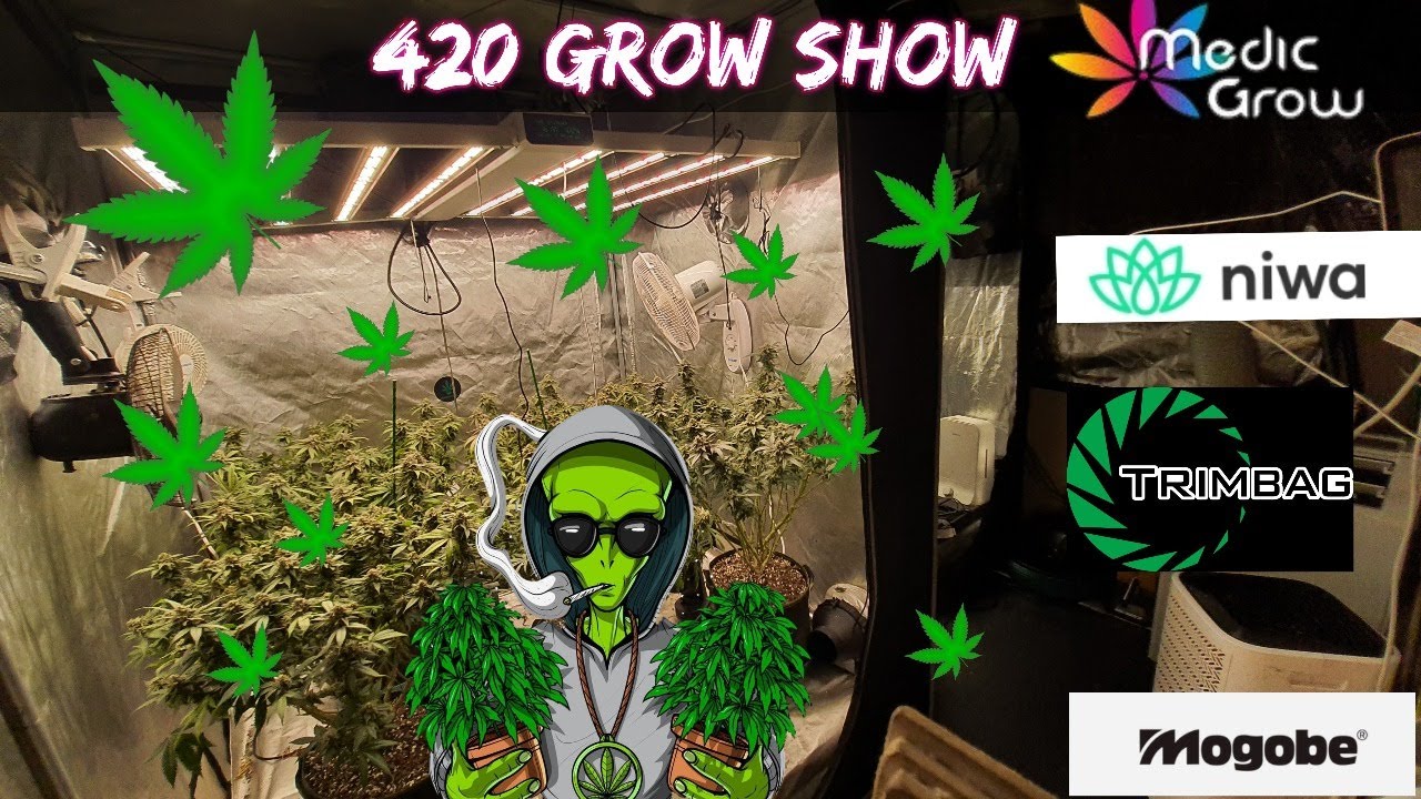 420 Grow Show . Smoke , chill , grow join the live or chill in the chat