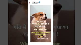 &quot;This Doge is more famous than me 💀&#39;&#39;#Doge  #MuchWow  #VeryFunny  #SuchMeme  #Wow  #DogeMeme  #Doge