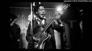 I Came Up Hard    Buddy Guy