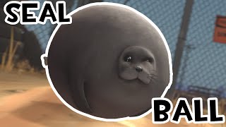SEAL BALL in 2Fort [SFM] screenshot 5