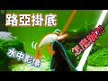 路亞【掛底/掛餌】對策&解救方法(水中影像/原理解析)