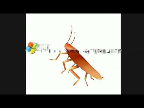 windows server 2003 animation but its cockroach dance