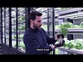 Favoriser lagriculture urbaine  promoting urban agriculture  with metro and infarm