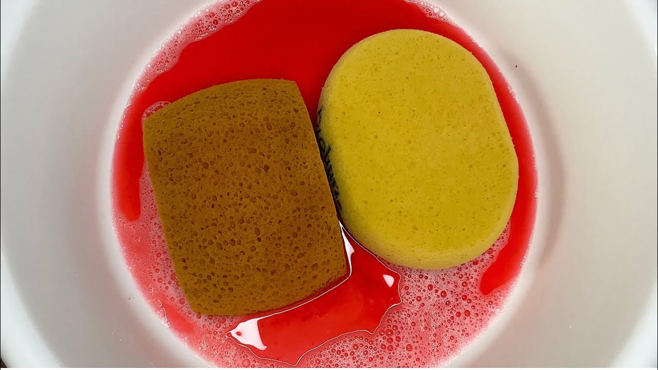 ASMR 💛❤️ARMALY PROPLUS SPONGES COMPANY💛❤️SQUEEZING &RINSING✨🫶✨