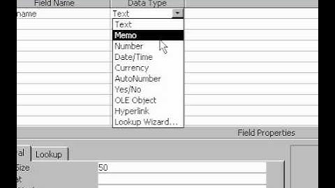 Microsoft Office Access 2000 Creating a table in design view