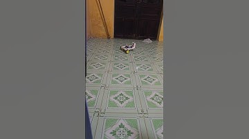 Khi TB6612 kết hợp cảm biến siêu âm HC-SR04. Robot tự tránh vật cản như loài dơi. #diy #esp32 #robot