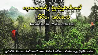 දෙහෙනකන්ද මුක්කුවත්තෙන් සිරිපා කරැණාව | Sri Padaya Via Dehenakanda Mukkuwatta Trail | 2024  #nadaya