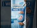 👉 Part 2 | Second Trimester Pregnancy Explained | Weeks 13–27 Baby Development #sort