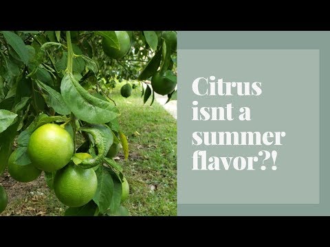 Citrus Isn't a Summer Flavor?! | Catherine Arensberg