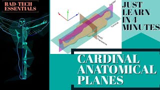CARDINAL ANATOMICAL PLANES -3D |BASIC ANATOMY|