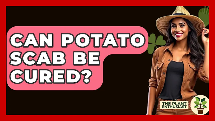 Can Potato Scab Be Cured? - The Plant Enthusiast