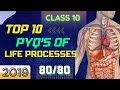 Top 10 PYQ’s of 2019 of LIFE PROCESSES || CLASS-10 || Must watch || Sanjay Yadav