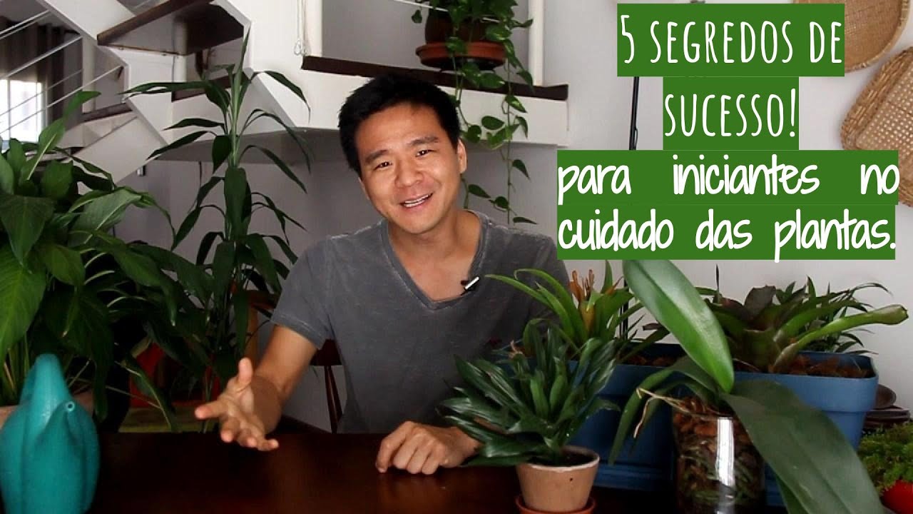 5 Dicas de ouro para iniciantes no cuidado de plantas 5 Dicas de ouro para iniciantes no cuidado de plantas