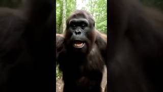 BIG FOOT TOOK A SH*T IN SOMEONES TENT😭 | Part 2 #shorts #ai #subscribe