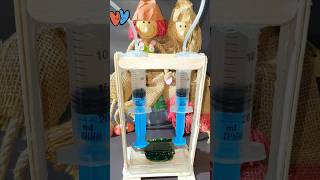 Jelly Vs. Syringe Press The Ultimate Jell-O Crushing Challenge