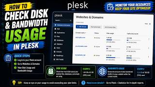 How to Check Disk and Bandwidth Usage in Plesk | HostingTom