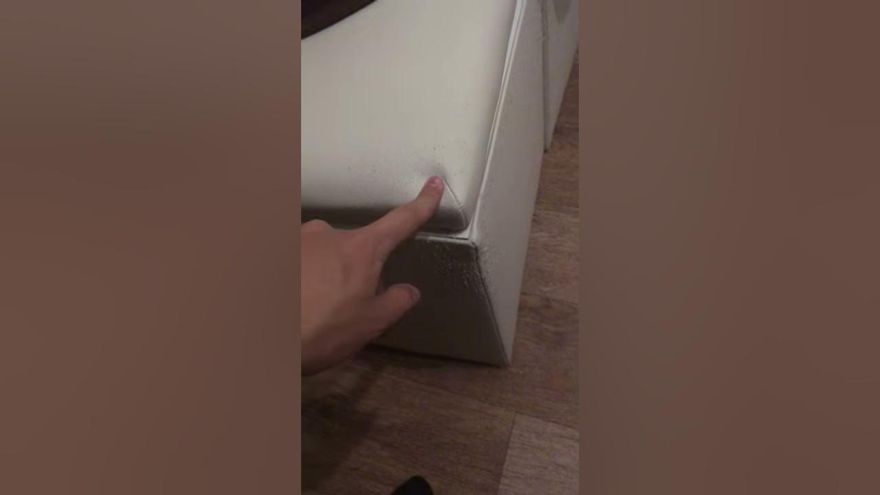 Что делать, чтобы кошка не драла мебель - YouTube